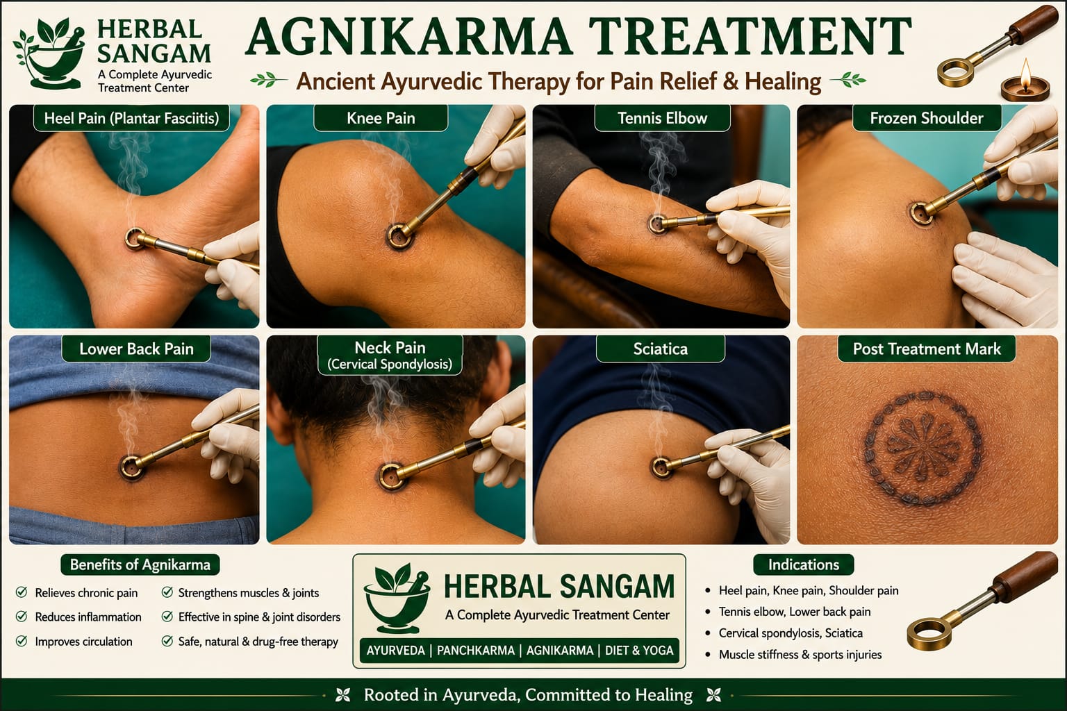 Herbal Sangam Natural Healing for a Healthier You